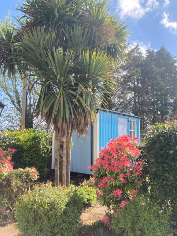 Atlantic Way Shepherd Hut Moville Eksteriør bilde
