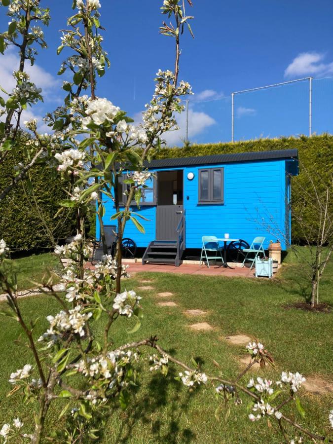 Atlantic Way Shepherd Hut Moville Eksteriør bilde