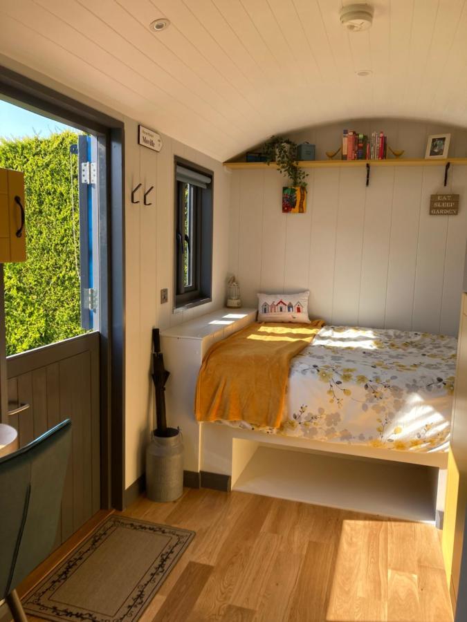 Atlantic Way Shepherd Hut Moville Eksteriør bilde